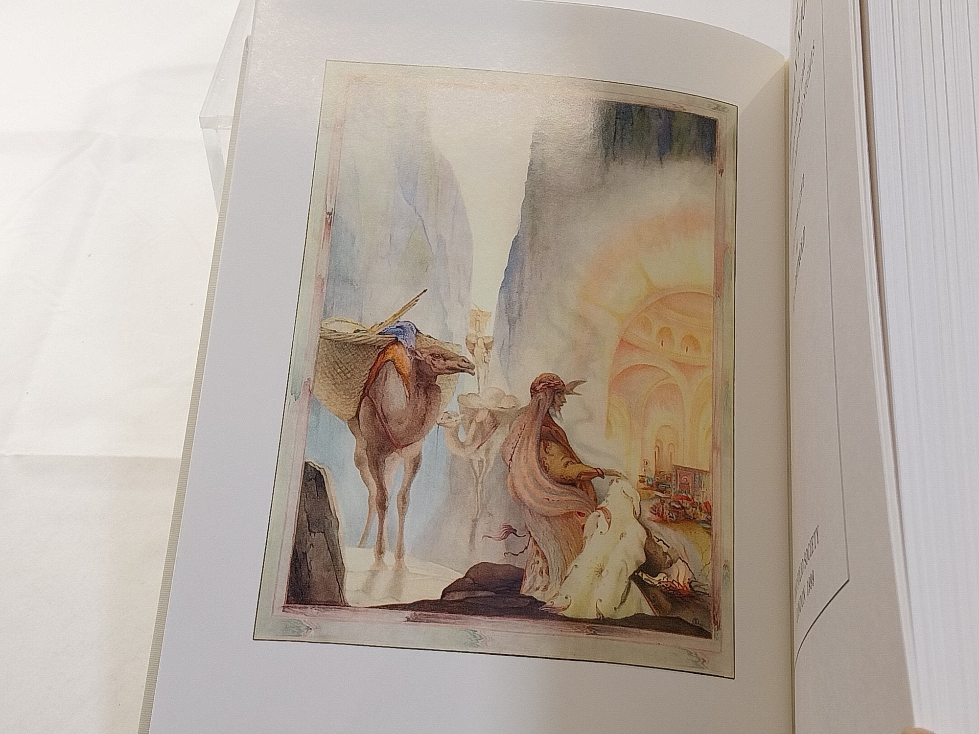 The Arabian Nights Folio Society Illustrated by Detmold Second Printing