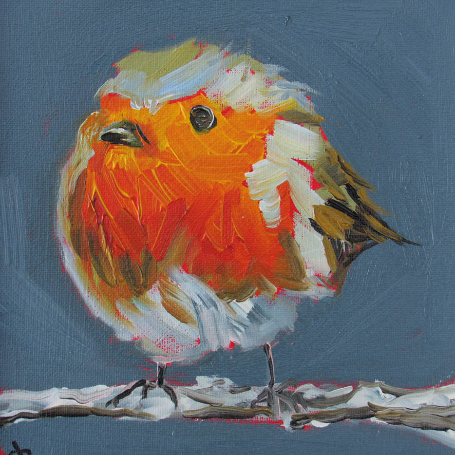 Fluffy Robin