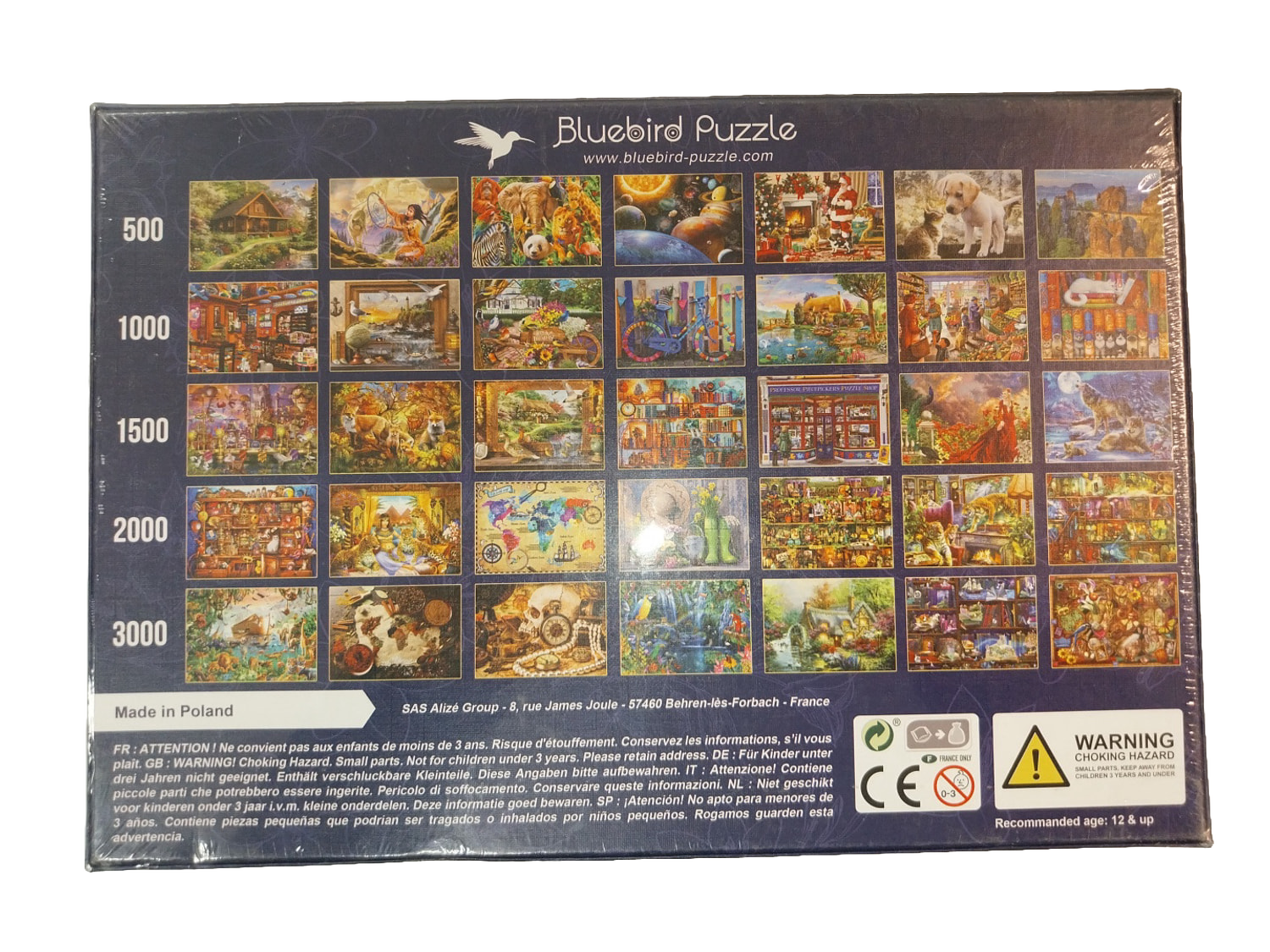 Bluebird Puzzle Ready for the Garden 1000 Piece Jigsaw Sealed