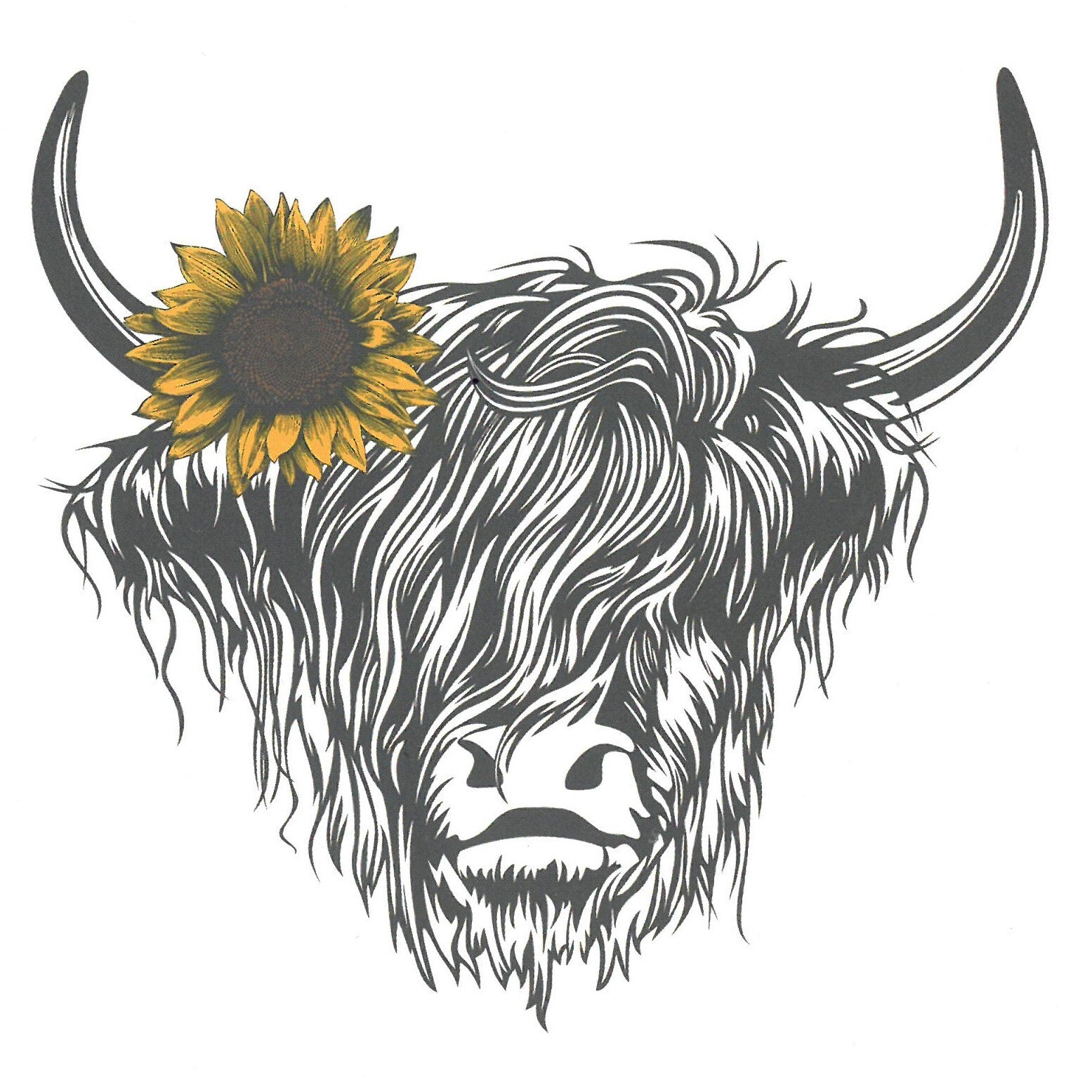 Heilan Coo Notelets