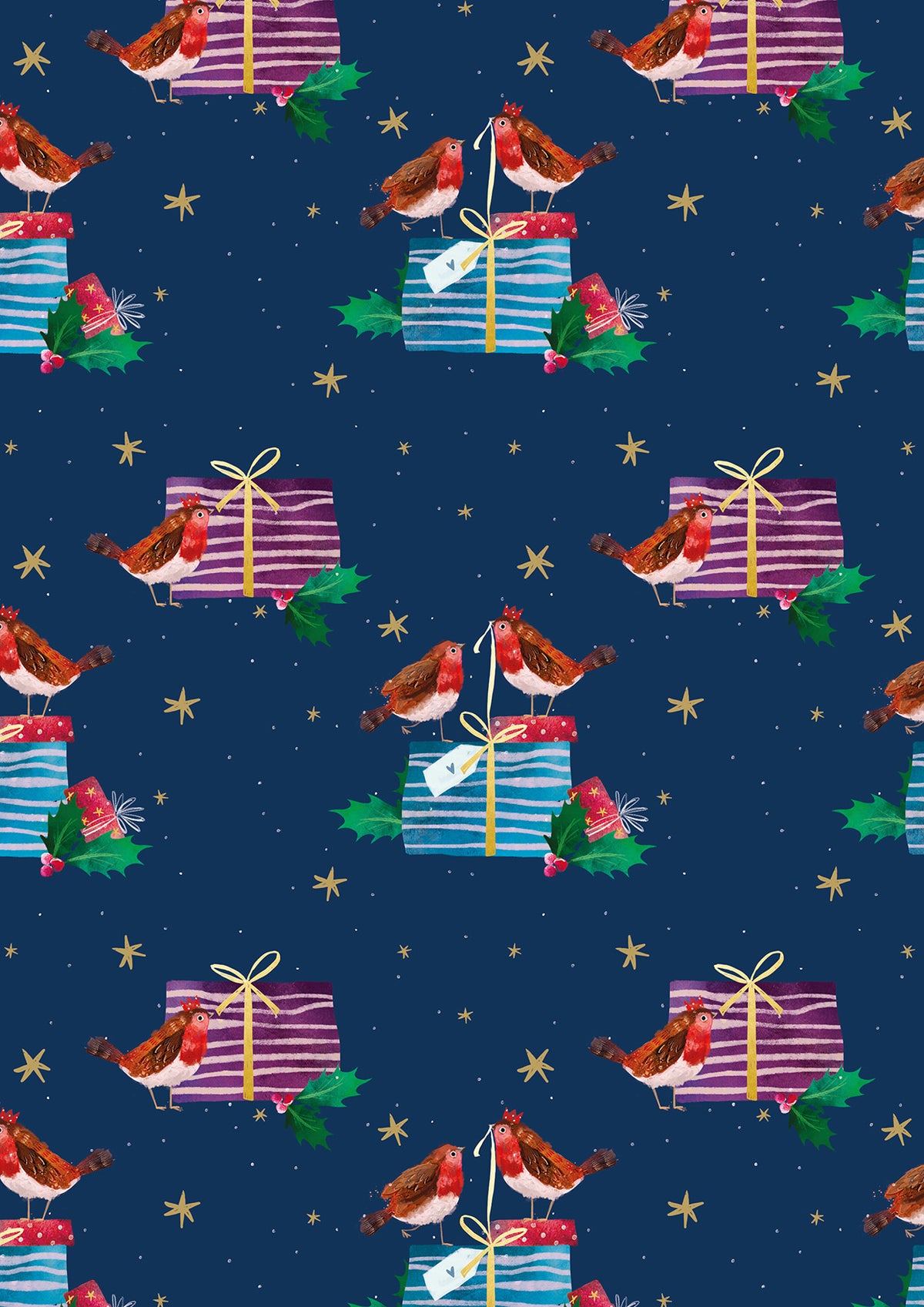 Robin Friends Wrap - Christmas Wrapping Paper Twin Pack