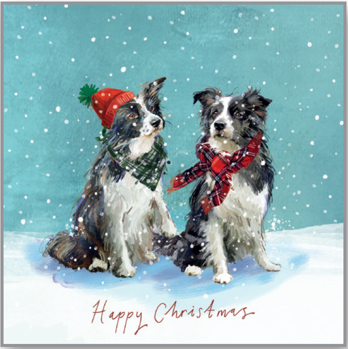 Collies at Christmas