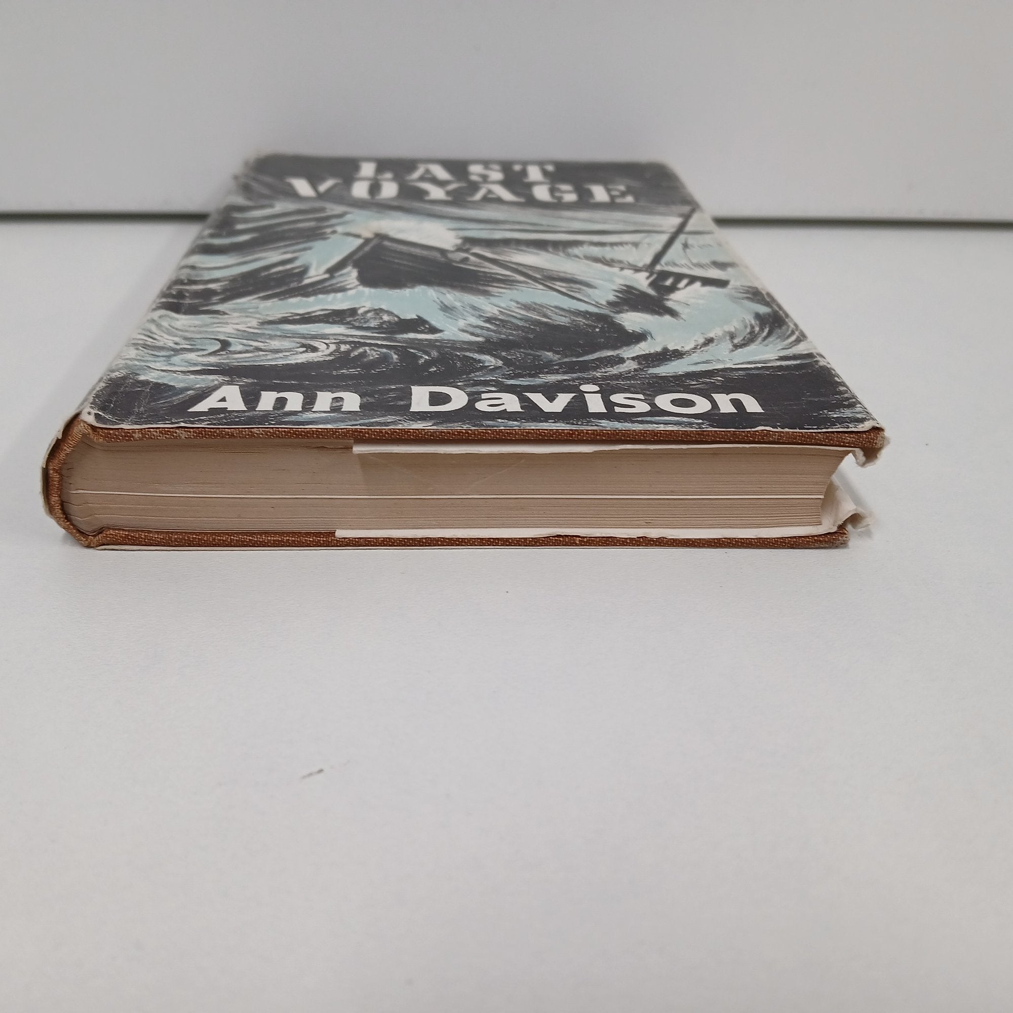 Last Voyage by Ann Davison