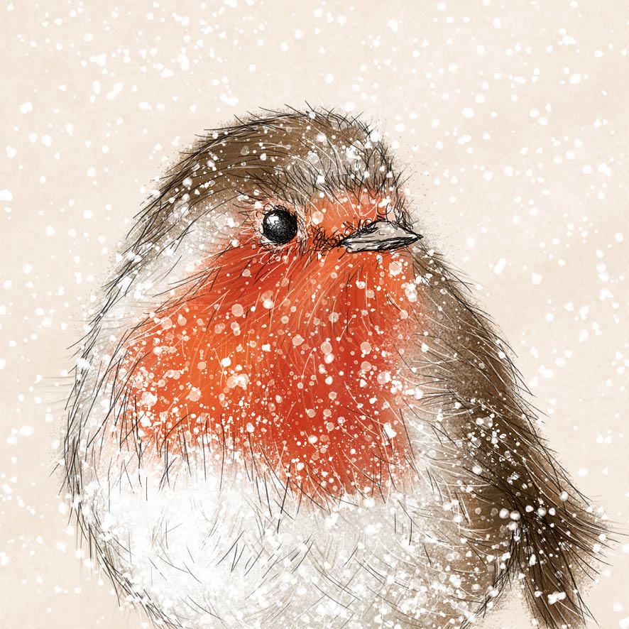 Snowy Robin