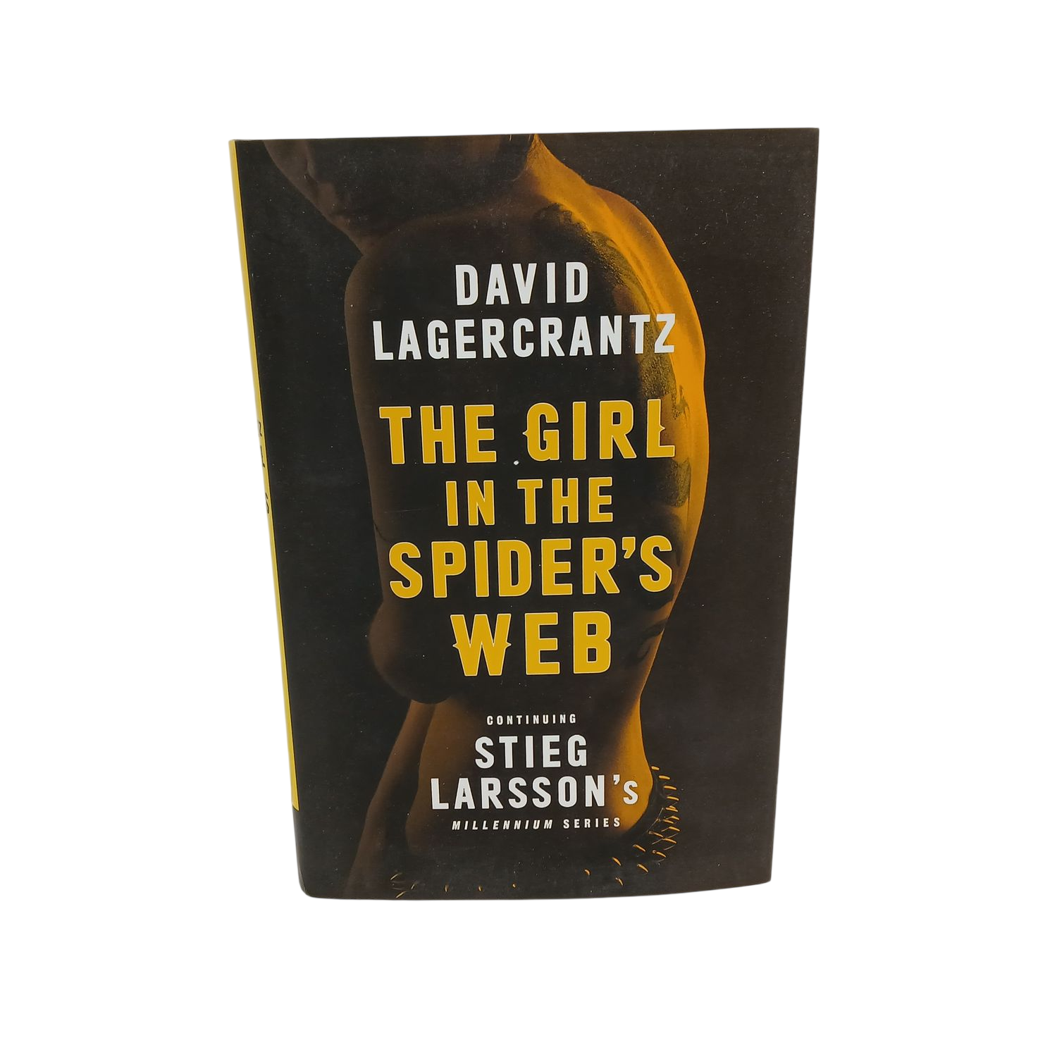 The Girl in the Spider's Web by David Lagercrantz, Millennium Series