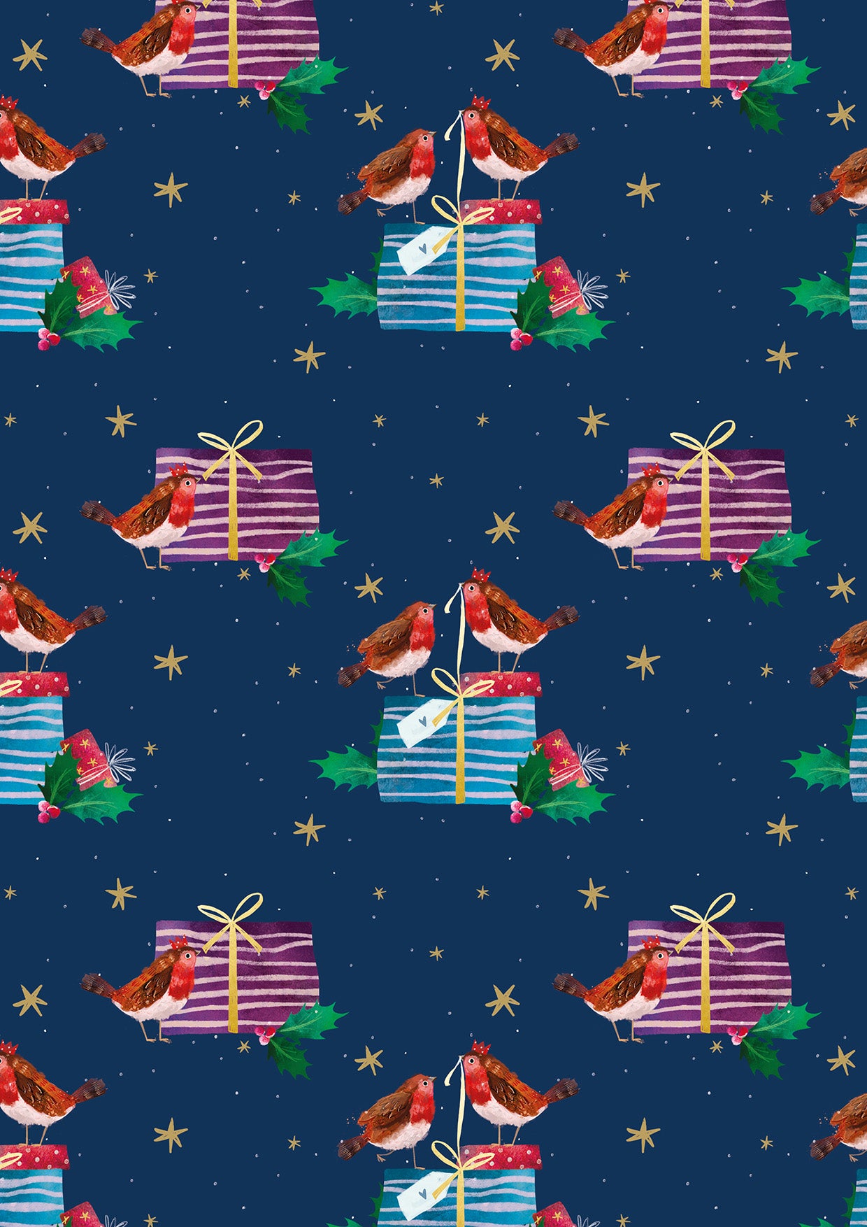 Robin Friends Wrap - Christmas Wrapping Paper Twin Pack