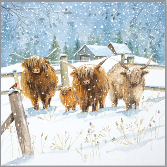 Three and a half Coos