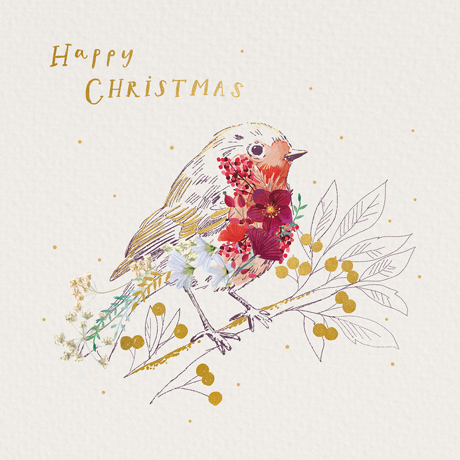 Beautiful Robin
